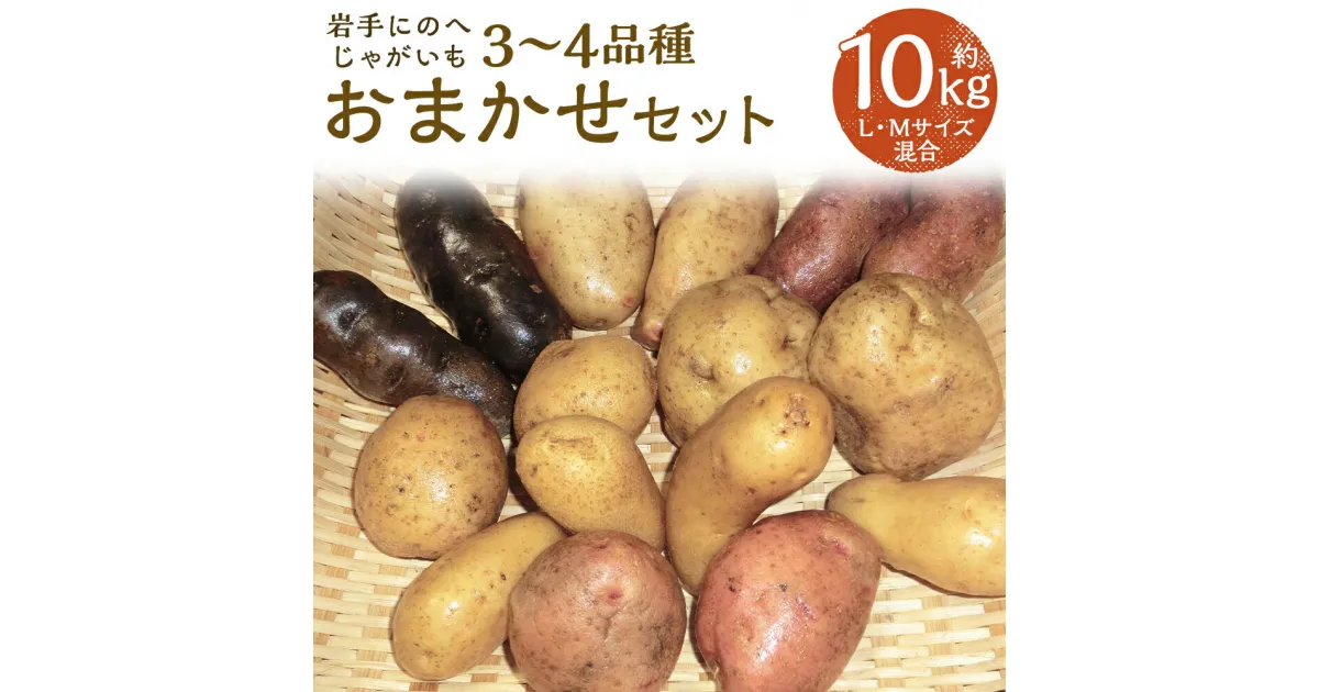 【ふるさと納税】厳選品 岩手にのへじゃがいも「伝」 3～4種 品種おまかせ 約10kg L・Mサイズ混合 ランダム おまかせ セット じゃがいも 芋 じゃが芋 野菜 二戸市産 岩手県産 国産 送料無料【2024年9月中旬～2025年2月下旬に順次発送予定】