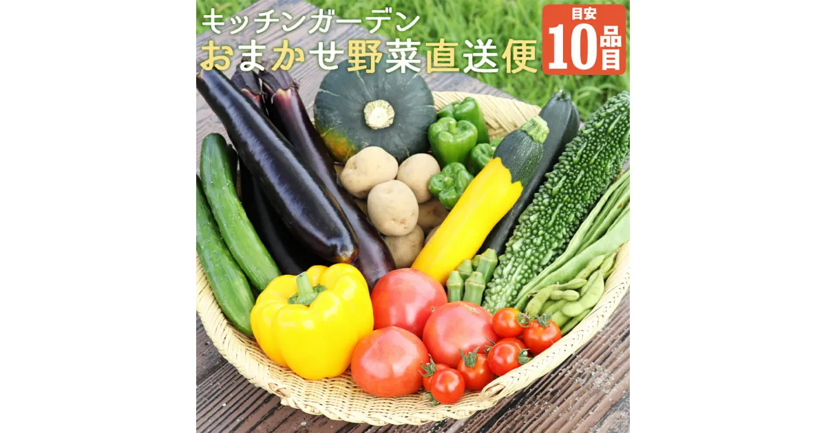 【ふるさと納税】キッチンガーデンおまかせ野菜直送便 おまかせ 野菜 セット 詰め合わせ 目安10品目 岩手県 国産 東北産 冷蔵 送料無料