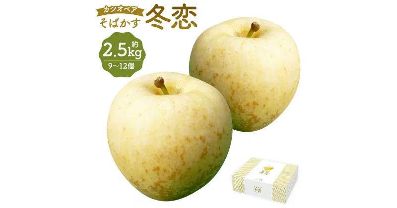 【ふるさと納税】二戸産 カシオペアそばかす冬恋はるか 約2.5kg 9個～12個 糖度15度以上 蜜入り保証品 訳あり ご家庭用 りんご リンゴ 林檎 フルーツ 果物 岩手県産 二戸市産 年内発送 送料無料【2024年12月上旬～下旬に順次発送予定】