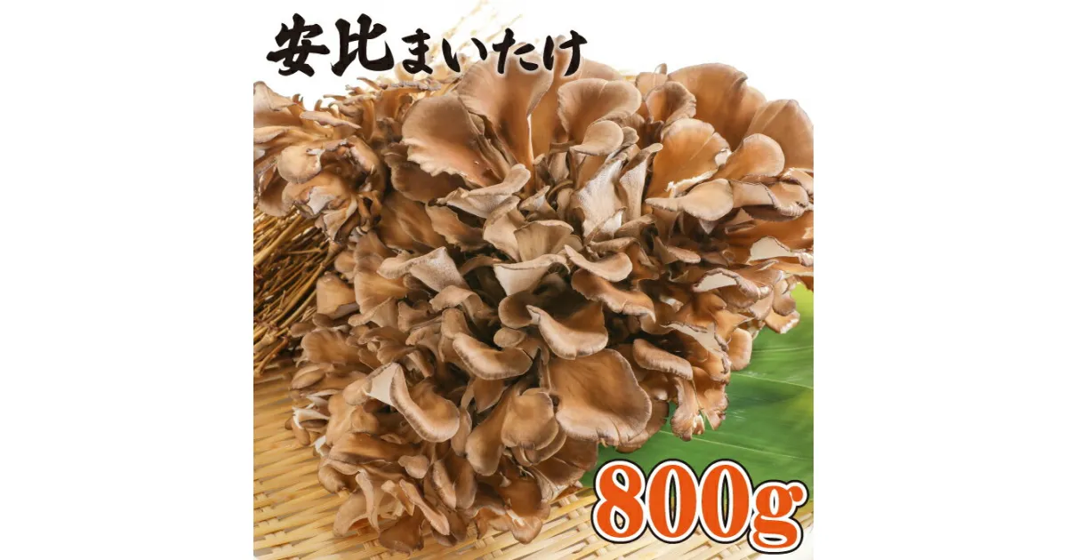 【ふるさと納税】 生まいたけ 大株 800g ／ 安比まいたけ 舞茸 まいたけ マイタケ きのこ キノコ 茸 野菜 贈り物 贈物 プレゼント 贈答用 ギフト 自宅用 家庭用 味噌汁 炊き込みご飯 カレー シチュー 天ぷら 天婦羅 煮物 お吸い物 炒め物 岩手県 八幡平市 産地直送 送料無料