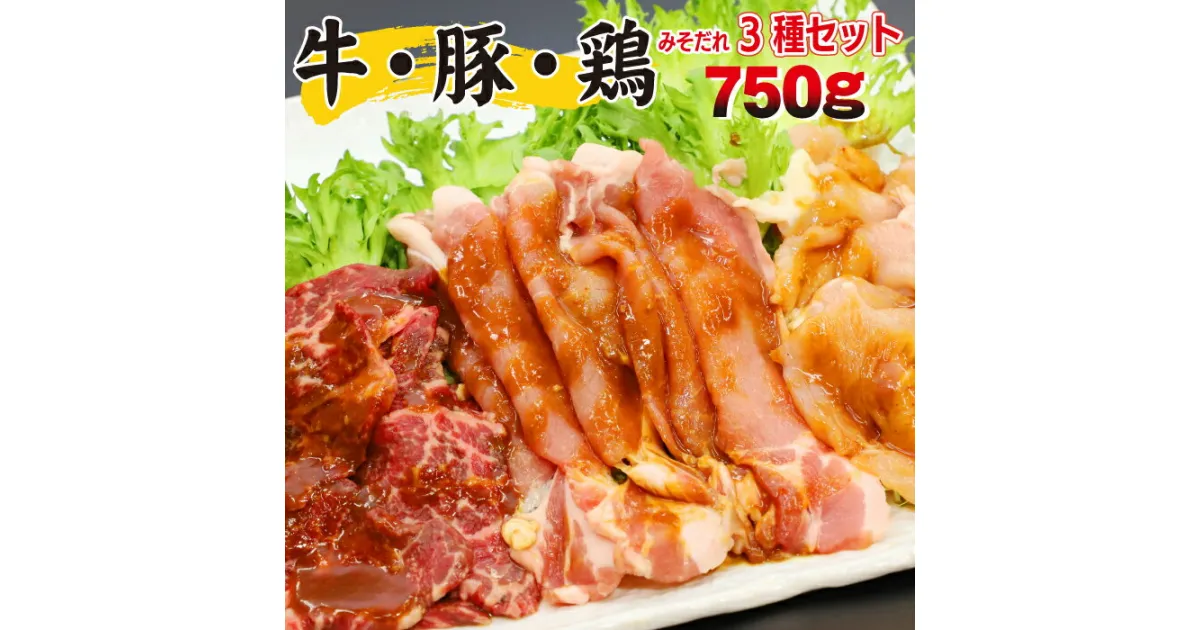 【ふるさと納税】 肉のささき 秘伝のみそだれ 牛 豚 鶏 3種 セット 計750g ／ 牛カルビ 豚ロース 鶏むね 焼肉 焼き肉 BBQ バーベキュー 肉炒め 味付け肉 味噌だれ 牛肉 ビーフ 豚肉 ポーク 鶏肉 チキン 3種類 小分け 手軽 簡単 焼くだけ 750グラム 岩手県 八幡平市 送料無料