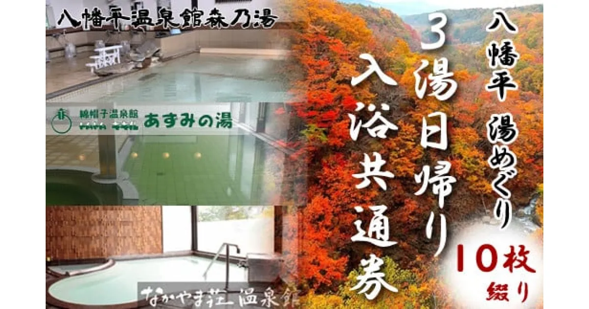 【ふるさと納税】 湯巡り 3湯 日帰り入浴券 10枚綴り ／ 入浴 入浴券 温泉 露天風呂 サウナ 大浴場 3施設 共通 回数券 チケット 共通券 温泉券 10枚 十枚 森乃湯 綿帽子 あずみの湯 なかやま荘 癒し リラックス 旅行 休息 お風呂 風呂 旅 東北 岩手県 八幡平市 送料無料