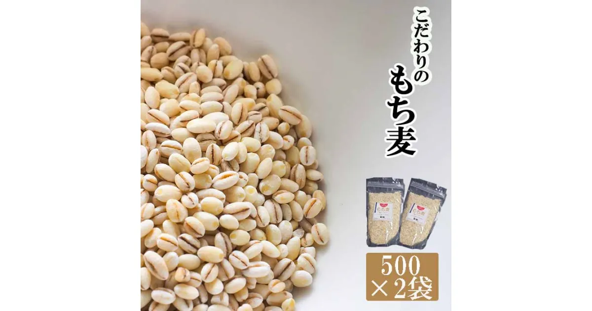 【ふるさと納税】 国産 もち麦 おすすめ もちむぎ はねうまもち 計1kg 500g 2袋 ／ 雑穀 国産 500グラム 二袋 総量 1kg 1キロ 岩手県産 リゾット スープ 小分け 小袋 もちもち食感 手軽 食品 料理 自宅用 家庭用 産地直送 農家直送 岩手県 八幡平市 送料無料 十一代目藤助