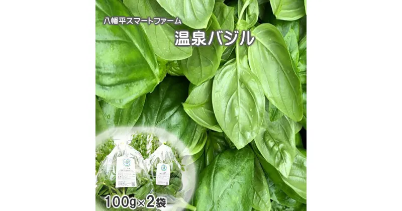 【ふるさと納税】 八幡平市産 温泉バジル 100g 2袋 ／ 新鮮 バジル 生バジル 薬味 ハーブ ジェノベーゼ 料理 ソース ピザ ピッツァ 調理 パスタ イタリアン 炒め物 100グラム 二袋 総量 200g 200グラム 家庭用 自宅用 産地直送 スマートファーム 岩手県 八幡平市 送料無料