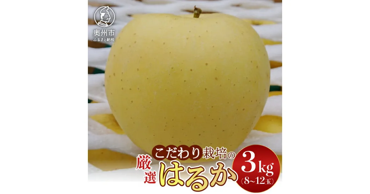 【ふるさと納税】 【スターファーム】 こだわり栽培の はるか 厳選品 3kg 岩手県奥州市産りんご 産地直送 フルーツ [AY002]