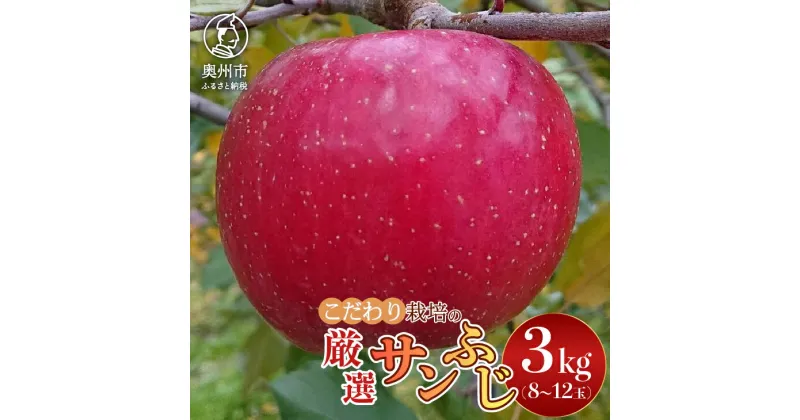 【ふるさと納税】 【スターファーム】 こだわり栽培の サンふじ 厳選品 3kg 岩手県奥州市産りんご 産地直送 フルーツ [AY004]