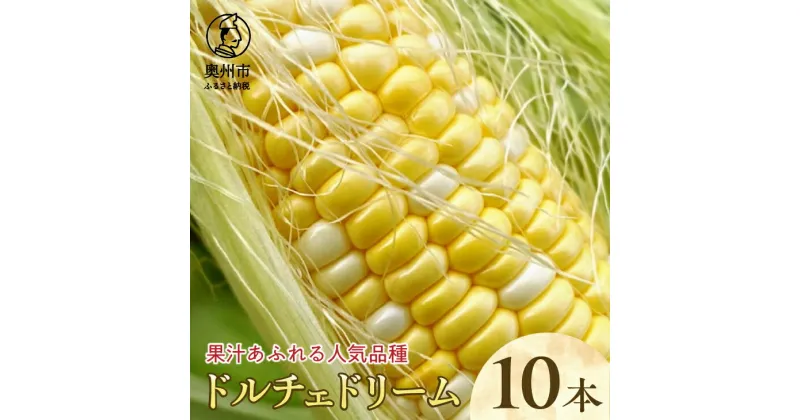 【ふるさと納税】 とうもろこし ドルチェドリーム10本 期間限定 野菜 人気品種 フルーティ 離島配送不可 [T0017]