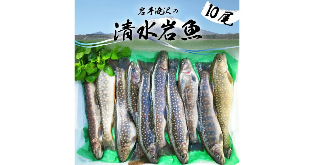 【ふるさと納税】 岩手滝沢 清水岩魚 活け〆 10尾 【行徳養魚場】 ／ 総量1kg程度 生魚 鮮魚 新鮮 川魚 清流 岩魚 いわな イワナ 魚 焼き魚 揚げ物 煮物 塩焼き ホイル焼き ムニエル 一夜干し 骨酒 BBQ バーベキュー おかず 魚介 東北 国産 産地直送 岩手県 滝沢市 送料無料