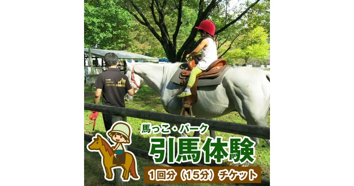 【ふるさと納税】引馬体験 体験チケット 1回分 チケット 体験 馬 乗馬 うま ウマ ふれあい たいけん 体験券 子ども 大人 引馬 動物 どうぶつ 【馬っこパーク・いわて】岩手県 滝沢市 送料無料