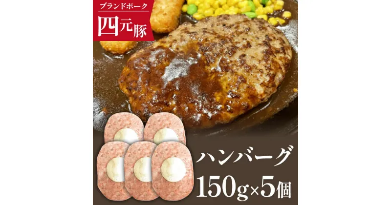 【ふるさと納税】 ありすぽーく ハンバーグ おすすめ 150g 5個 総量750g 四元豚 送料無料 お肉 加工品 豚肉 惣菜 総菜 洋風惣菜 おかず ランチ お弁当 弁当 便利 時短 時短調理 簡単 簡単調理 冷凍食品 小分け 個包装 家庭用 自宅用 国産 お取り寄せ 人気 豚 岩手県 滝沢市