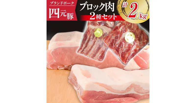 【ふるさと納税】 豚肉 四元豚 おすすめ ありすぽーく バラ 1kg ロース 1kg ブロック セット／総量 2kg ブロック肉 かたまり肉 塊肉 真空パック 送料無料 肉 お肉 精肉 国産 ポーク バラ肉 豚バラ 豚ロース 焼肉 人気 ブランド豚 お取り寄せ 岩手県 滝沢市 冷蔵 1キロ 2キロ