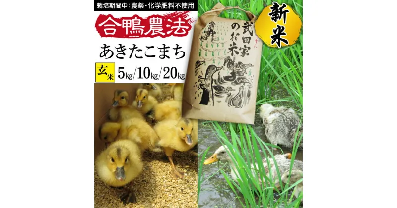 【ふるさと納税】 新米 令和6年産 あきたこまち 玄米 合鴨農法 武田家のお米 5kg 10kg 20kg 送料無料 米 あい鴨 カモ アイ鴨 鴨 アイガモ 選べる 5キロ 10キロ 20キロ 国産 美味しい 少量 産地直送 農家直送 お米 ご飯 コメ おにぎり 弁当 岩手県産 岩手県 滝沢市