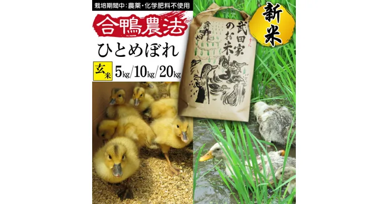 【ふるさと納税】 新米 令和6年産 ひとめぼれ 玄米 合鴨農法 武田家のお米 5kg 10kg 20kg 送料無料 米 あい鴨 カモ アイ鴨 鴨 アイガモ 選べる 5キロ 10キロ 20キロ 国産 美味しい 少量 産地直送 農家直送 お米 ご飯 コメ おにぎり 弁当 単一原料米 岩手県産 岩手県 滝沢市