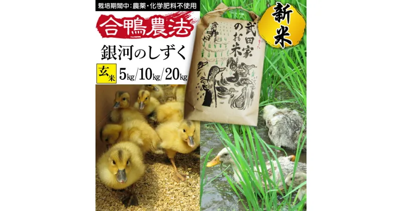 【ふるさと納税】 新米 令和6年産 銀河のしずく 玄米 合鴨農法 武田家のお米 特A 5kg 10kg 20kg 特A 送料無料 米 あい鴨 カモ アイ鴨 鴨 アイガモ 選べる 5キロ 10キロ 20キロ 国産 美味しい 少量 産地直送 農家直送 ご飯 コメ おにぎり 単一原料米 岩手県産 岩手県 滝沢市