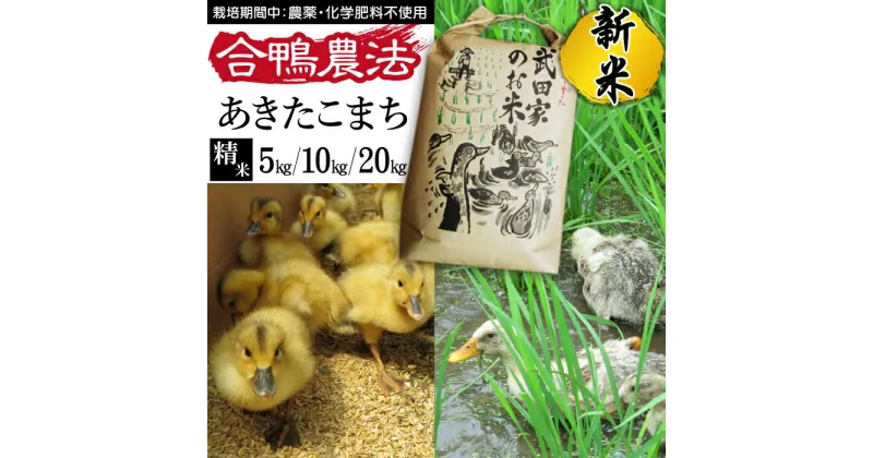 【ふるさと納税】 新米 令和6年産 あきたこまち 精米 合鴨農法 武田家のお米 5kg 10kg 20kg 送料無料 白米 米 あい鴨 カモ アイ鴨 鴨 アイガモ 選べる 5キロ 10キロ 20キロ 国産 美味しい 少量 産地直送 農家直送 お米 ご飯 白飯 おにぎり 単一原料米 岩手県産 滝沢市