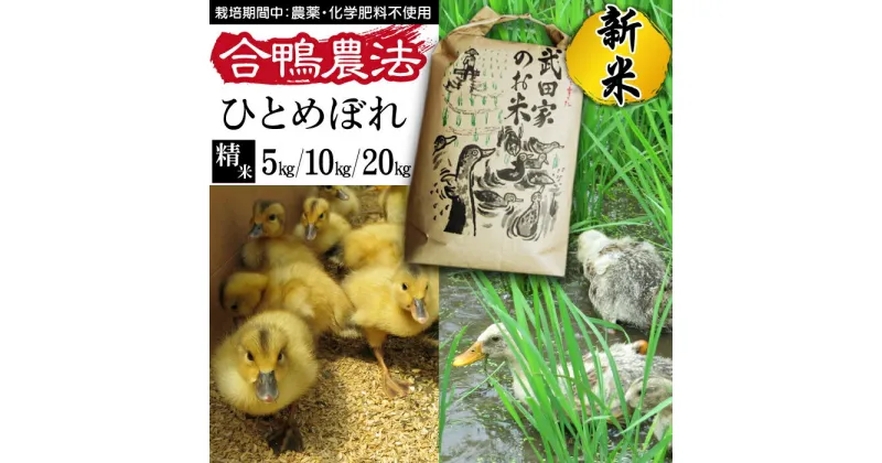 【ふるさと納税】 新米 令和6年産 ひとめぼれ 精米 合鴨農法 武田家のお米 5kg 10kg 20kg 送料無料 白米 米 あい鴨 カモ アイ鴨 鴨 アイガモ 選べる 5キロ 10キロ 20キロ 国産 美味しい 少量 産地直送 農家直送 お米 ご飯 白飯 おにぎり 単一原料米 岩手県産 岩手県 滝沢市