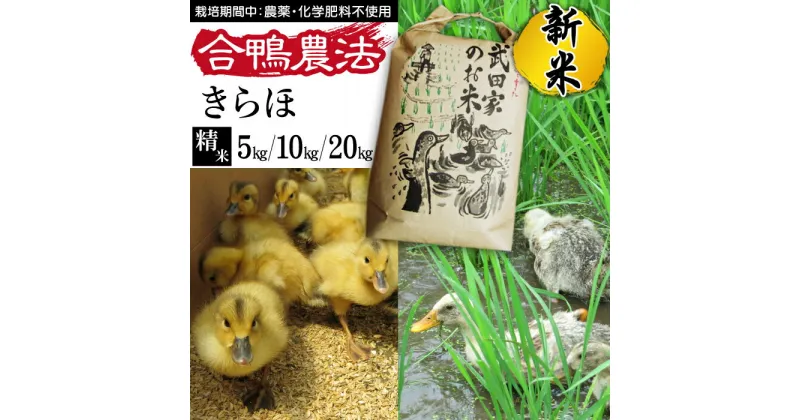 【ふるさと納税】 ふるさと納税 おすすめ 令和6年産 きらほ 精米 合鴨農法 武田家のお米 5kg 10kg 20kg 送料無料 白米 米 あい鴨 カモ アイ鴨 鴨 選べる 5キロ 10キロ 20キロ 国産 美味しい 少量 産地直送 農家直送 お米 ご飯 白飯 おにぎり 岩手県産 岩手県 滝沢市