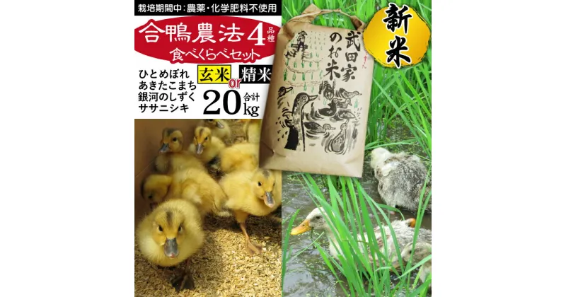 【ふるさと納税】 新米 令和6年産 食べ比べ 精米 玄米 4種食べ比べセット 5kg×4袋 計20kg 20キロ ササニシキ 銀河のしずく あきたこまち ひとめぼれ 合鴨農法 武田家のお米 米 白米 あい鴨 カモ アイ鴨 少量 小分け 味比べ 産地直送 農家直送 ご飯 白飯 国産 岩手県 滝沢市