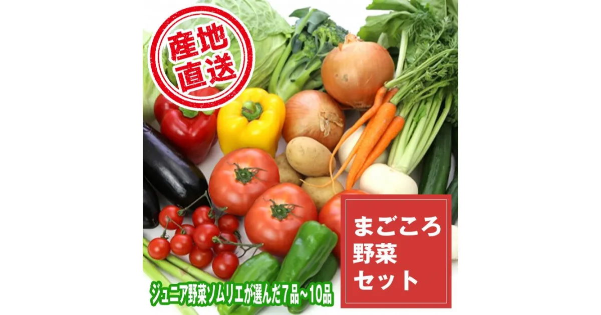 【ふるさと納税】野菜 やさい ヤサイ セット 滝沢まごころ野菜セット (7～10品) 果物 加工品 詰合せ 詰め合わせ 新鮮 美味しい 産直 チャグチャグ 旬 季節の野菜 地場産品 名産 ジュニア野菜ソムリエ 産地直送 【滝沢産業開発】 岩手県 滝沢市 送料無料