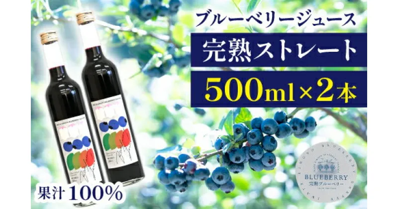 【ふるさと納税】ブルーベリー シューズ フルーツジュース ストレート 果汁100％ ブルーベリージュース 500ml×2本セット 合計1,000ml 濃厚 果物 フルーツ 自社農園 濃厚 果実飲料 果物 くだもの ドリンク 【岩手林業株式会社】 岩手県 滝沢市 送料無料