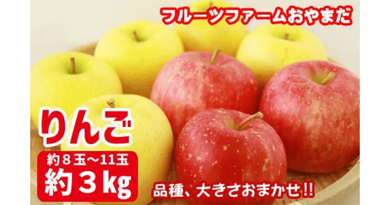 【ふるさと納税】令和6年産 家庭用 りんご リンゴ 林檎 3kg 3キロ 品種と大きさおまかせ！約8玉～11玉 アップル 果物 採れたて 新鮮 旬 産地直送 冬の味覚 農園 生食 加工 製菓 アップルパイ コンポート 【フルーツファームおやまだ】 岩手県 滝沢市 送料無料