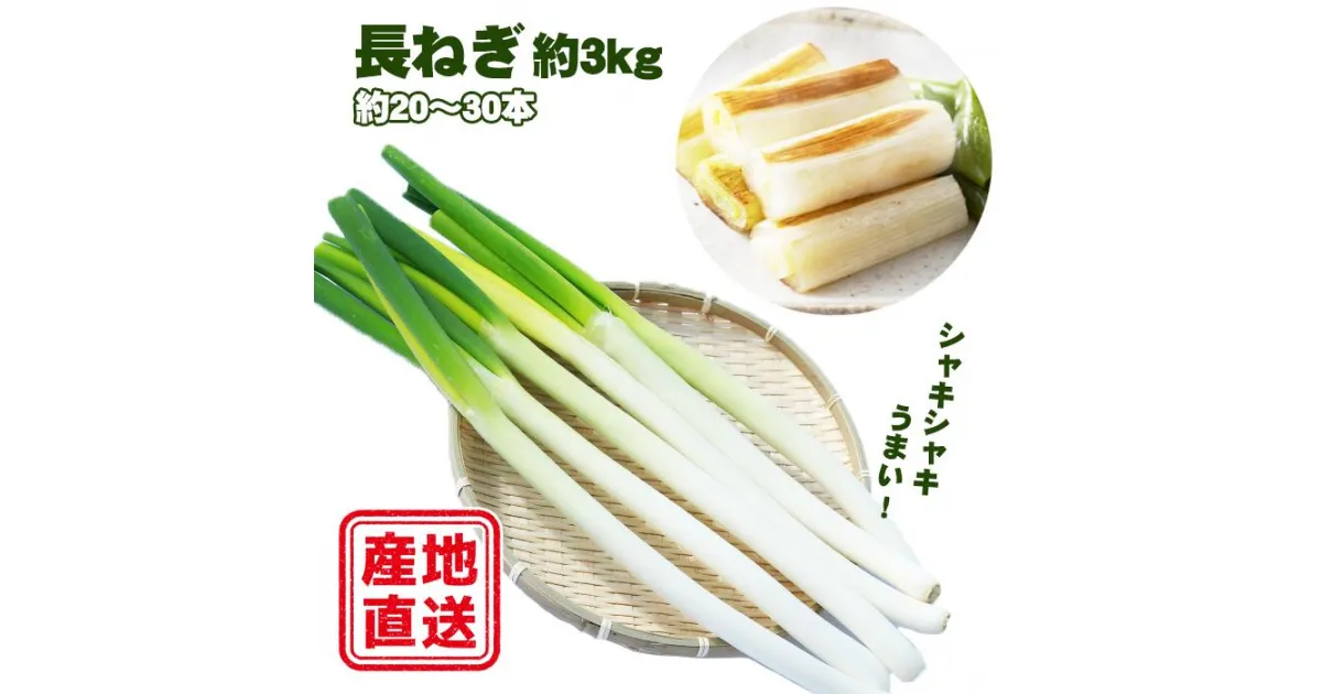 【ふるさと納税】 令和6年度産 滝沢市産 長ねぎ 約3kg 3キロ 三キロ 《Lから2Lサイズ》20本～30本程度 ネギ 長ネギ ねぎ 葱 野菜 予約 早期 受付 受け付け 大容量 白ねぎ 【滝沢産業開発株式会社】岩手県 滝沢市 送料無料