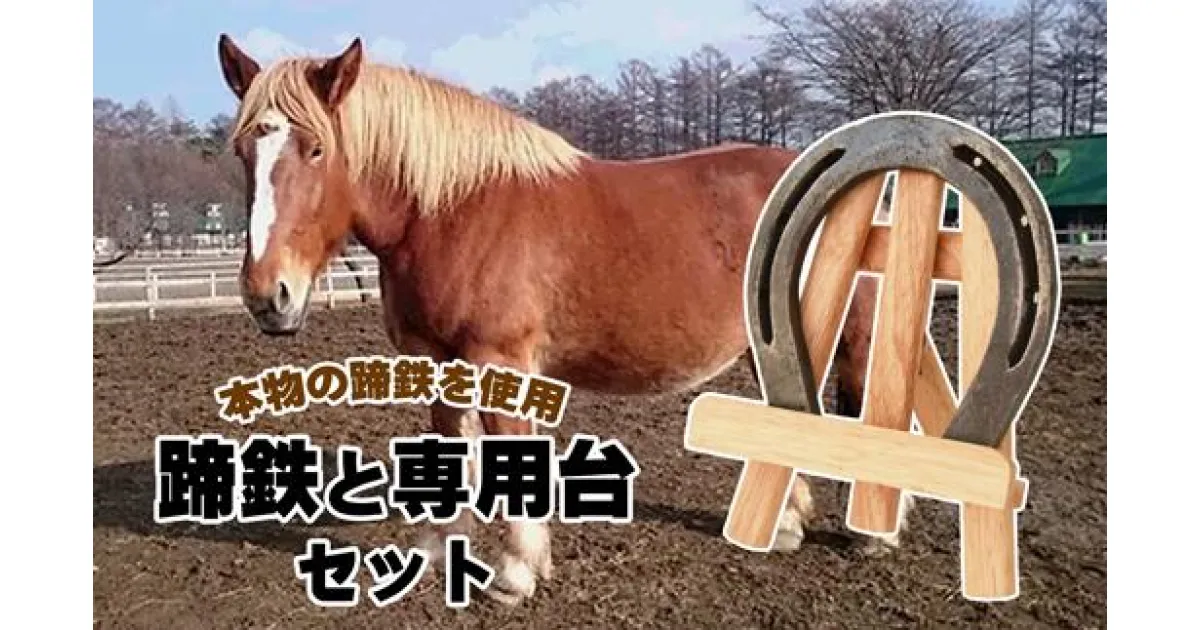 【ふるさと納税】蹄 馬 ウマ 蹄鉄と専用台のセット（選べる色と素材）蹄鉄 グッズ 置物 幸運 ラッキーアイテム うま 本物 インテリア 台 持ち運び 鉄 アルミ 原色 ゴールド シルバー【馬っこパーク・いわて】 岩手県 滝沢市 送料無料