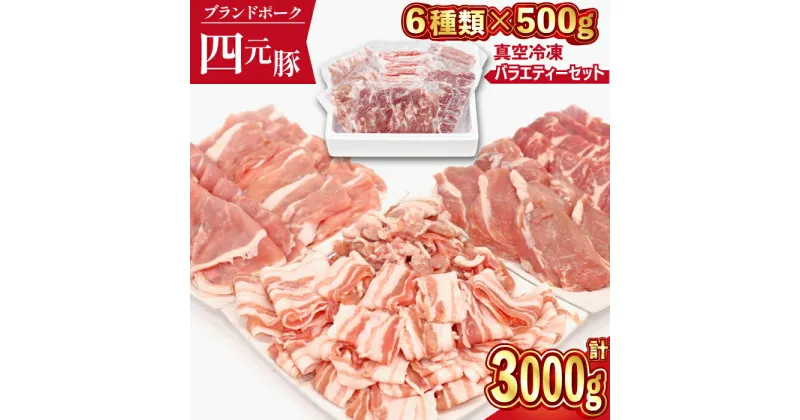 【ふるさと納税】 豚肉 四元豚 おすすめ ありすぽーく おまかせ バラエティ セット 総量3000g ／ 豚 ぶた 豚小間 豚バラ ロース モモ 肩ロース 小間切れ 切り落とし ヒレ 肉 真空パック トレーなし 送料無料 精肉 国産 ポーク 炒め物 焼肉 煮物 岩手県 滝沢市 ありす畜産