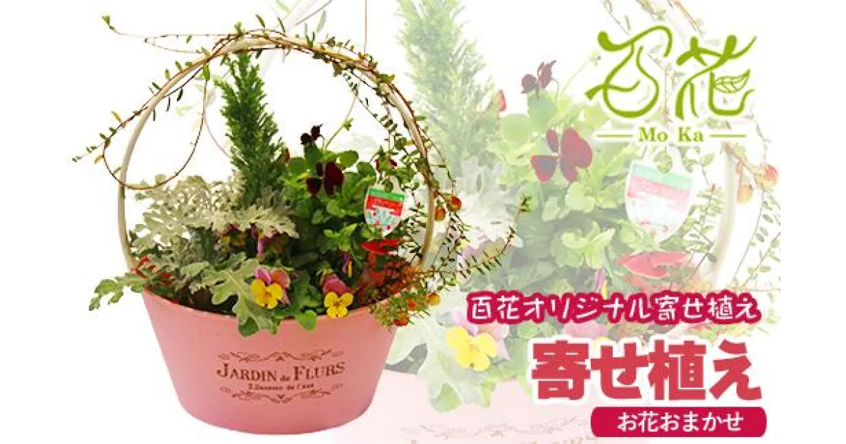 【ふるさと納税】花 寄せ植え 完成品 ギフト 花器 百花オリジナルの寄せ植え (3000円分) プレゼント ガーデニング 季節 お花 お祝い 贈り物 誕生日 母の日 父の日 敬老の日 フラワー グリーン 観葉植物 記念日 結婚祝い 生花 春 夏 秋 冬 百花 -MoKa- 岩手県 滝沢市 送料無料