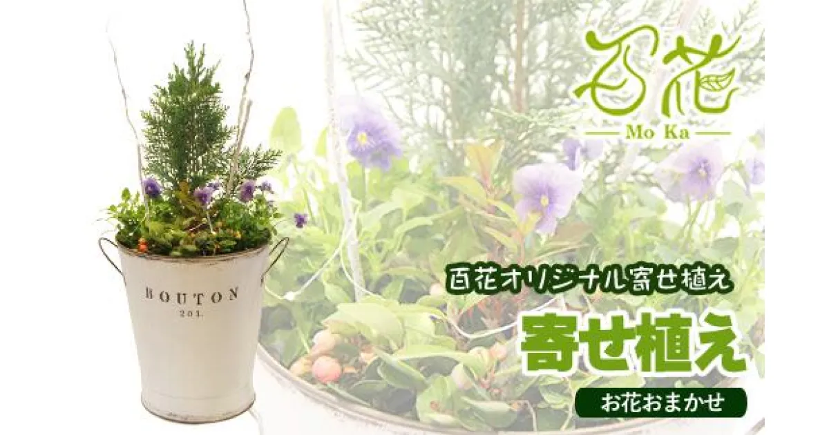 【ふるさと納税】花 寄せ植え 完成品 ギフト 花器 百花オリジナルの寄せ植え（5000円分）プレゼント ガーデニング 季節 お花 お祝い 贈り物 誕生日 母の日 父の日 敬老の日 フラワー グリーン 観葉植物 記念日 結婚祝い 生花 春 夏 秋 冬 百花 -MoKa- 岩手県 滝沢市 送料無料