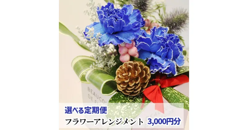 【ふるさと納税】 花 ギフト 誕生日 フラワー プレゼント フラワーアレンジメント 定期便 《3000円分》選べる定期便 アレンジ 贈り物 母の日 父の日 家族 敬老の日 送別 記念日 結婚祝い 新築祝い 生花 卒業 入学 男性 女性 お祝い お礼 百花 -MoKa- 岩手県 滝沢市 送料無料