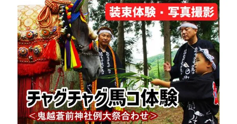 【ふるさと納税】体験チケット 体験 チャグチャグ馬コ体験＜鬼越蒼前神社例大祭合わせ＞ 伝統行事 子ども こども 伝統 写真撮影 写真 記念 チャグチャグ馬っこ 馬 うま ウマ ふれあい 触れ合い 衣装 チケット 経験 地域 限定 期間限定 数量限定 岩手県 滝沢市 送料無料