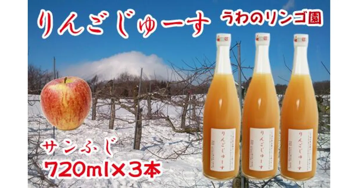 【ふるさと納税】りんご 林檎 リンゴ りんごじゅーす（サンふじ） 720ml×3本 セット ジュース フルーツ フルーツジュース アップル アップルジュース 果物 くだもの 瓶 ビン 720ml 3本 贈答用 贈答 ギフト 贈物 お中元 お歳暮 【うわのリンゴ園】岩手県 滝沢市 送料無料