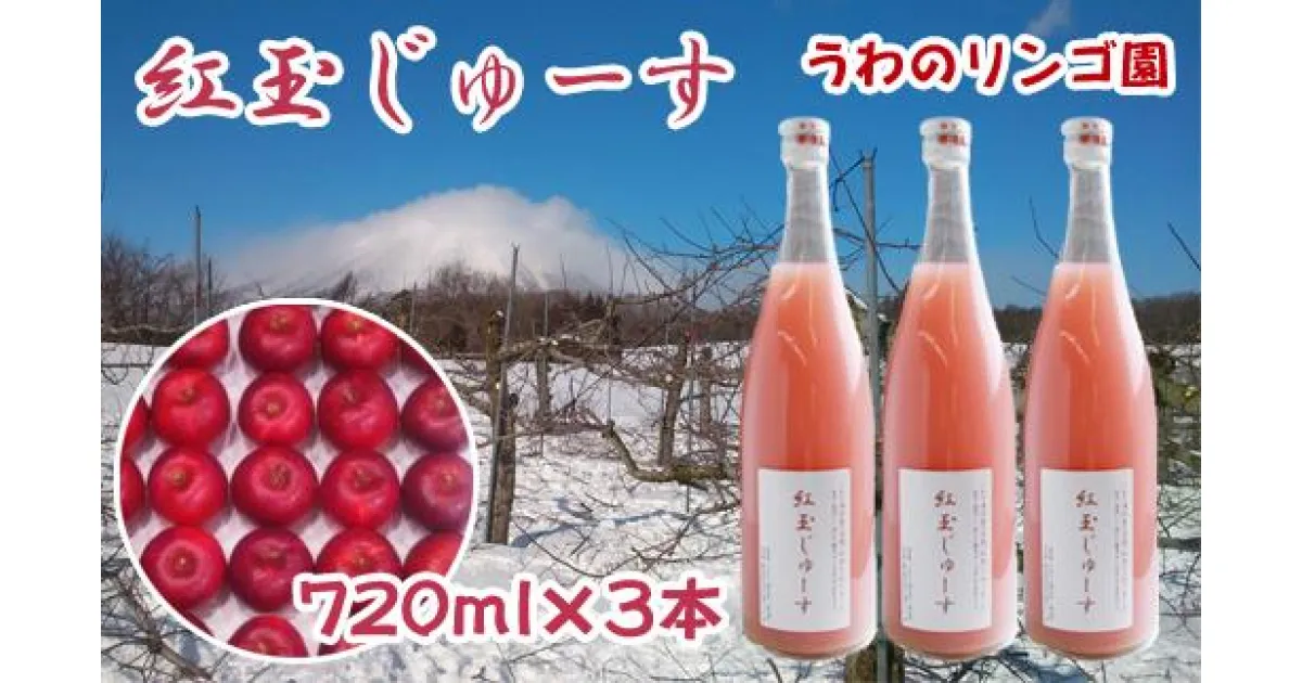 【ふるさと納税】りんご 林檎 リンゴ 紅玉 こうぎょく 紅玉のじゅーす 720ml×3本 セット ジュース フルーツ フルーツジュース アップル アップルジュース 果物 くだもの 瓶 ビン 720ml 3本 贈答用 贈答 ギフト 贈物 お中元 お歳暮【うわのリンゴ園】岩手県 滝沢市 送料無料