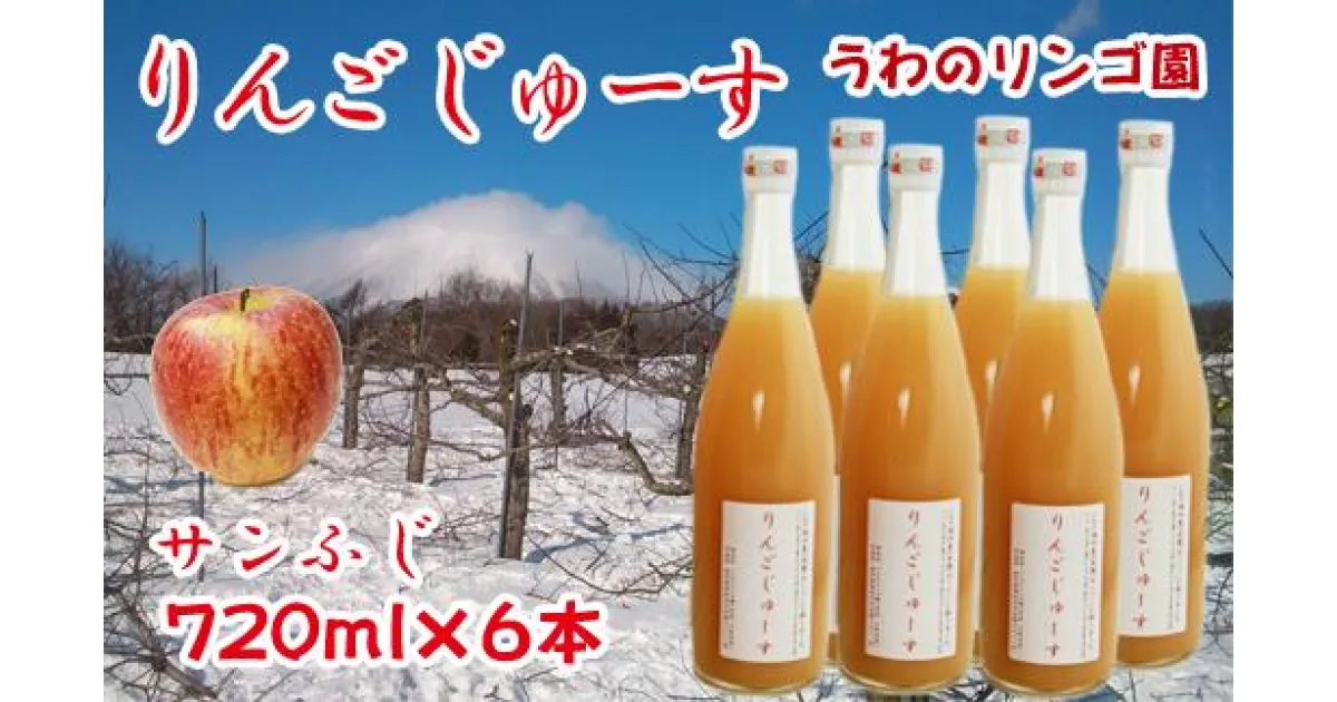 【ふるさと納税】りんご 林檎 リンゴ りんごじゅーす（サンふじ） 720ml×6本 セット ジュース フルーツ フルーツジュース アップル アップルジュース 果物 くだもの 瓶 ビン 720ml 6本 贈答用 贈答 ギフト 贈物 お中元 お歳暮 【うわのリンゴ園】岩手県 滝沢市 送料無料