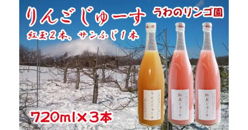 【ふるさと納税】りんご 林檎 リンゴ りんごじゅーす（紅玉2本 サンふじ1本） 720ml×3本 セット ジュース フルーツ フルーツジュース アップル アップルジュース 果物 くだもの 瓶 ビン 720ml 3本 贈答用 贈答 ギフト お中元【うわのリンゴ園】岩手県 滝沢市 送料無料