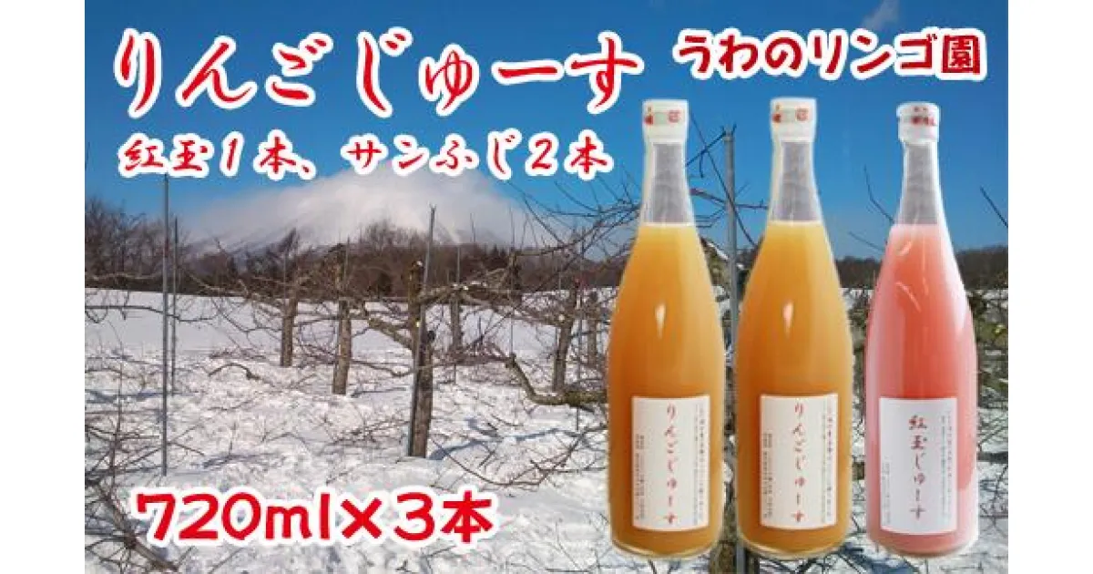 【ふるさと納税】りんご 林檎 リンゴ りんごじゅーすミックス（紅玉1本・サンふじ2本） セット 720ml×3本 ジュース フルーツ フルーツジュース アップル アップルジュース 果物 くだもの 瓶 ビン 贈答用 贈答 ギフト お中元【うわのリンゴ園】岩手県 滝沢市 送料無料