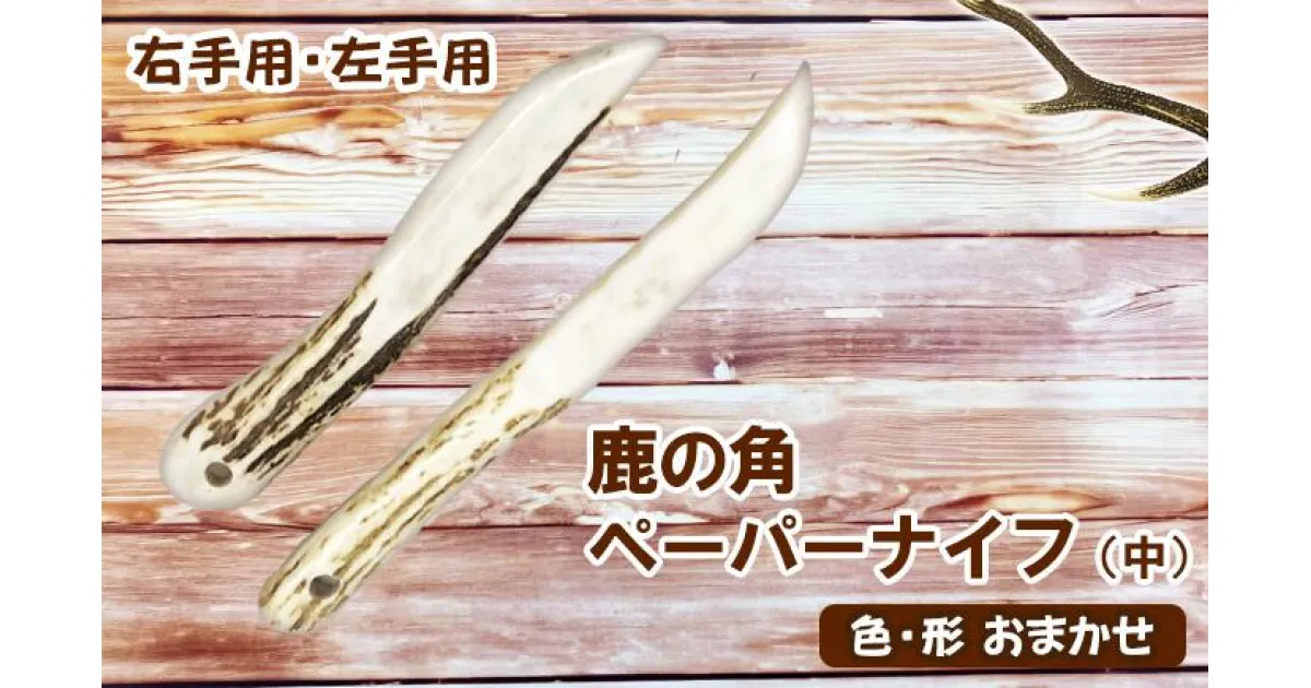 【ふるさと納税】 ふるさと納税 おすすめ 鹿の角ペーパーナイフ（中） 1個 鹿 角 鹿の角 鹿角 ツノ 本物 つの ペーパーナイフ 文房具 デスク用品 紙 ペーパー ナイフ 二ホンジカ シカ しか 天然 野生 動物 裁断 道具 紙用ナイフ 中サイズ サイズ 岩手県 滝沢市 送料無料