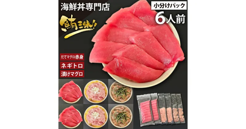 【ふるさと納税】 海鮮丼 具 おすすめ だてまぐろ 赤身 & ネギトロ & 漬けマグロ 合計 6人前 / 刺身 さしみ 新鮮 海鮮 魚 生食用 マグロ 鮪 まぐろ 本鮪 本まぐろ ねぎとろ ネギトロ丼 漬け 漬け丼 食べ比べ 簡単 時短 手軽 寿司 すし 鮨 岩手県 滝沢市 送料無料 十六家