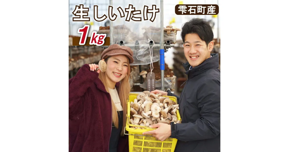 【ふるさと納税】しいたけ きのこ 生しいたけ 1kg 食べやすい 椎茸 シイタケ 臭み少なめ キノコ 茸 国産 雫石町産 鍋 お鍋 煮込み 出汁 料理 ご飯 美味しい たっぷり 若手農家 応援 バーベキュー BBQ 生 おいしい 肉厚 汁物 【さくらだファーム】岩手県 雫石町 送料無料