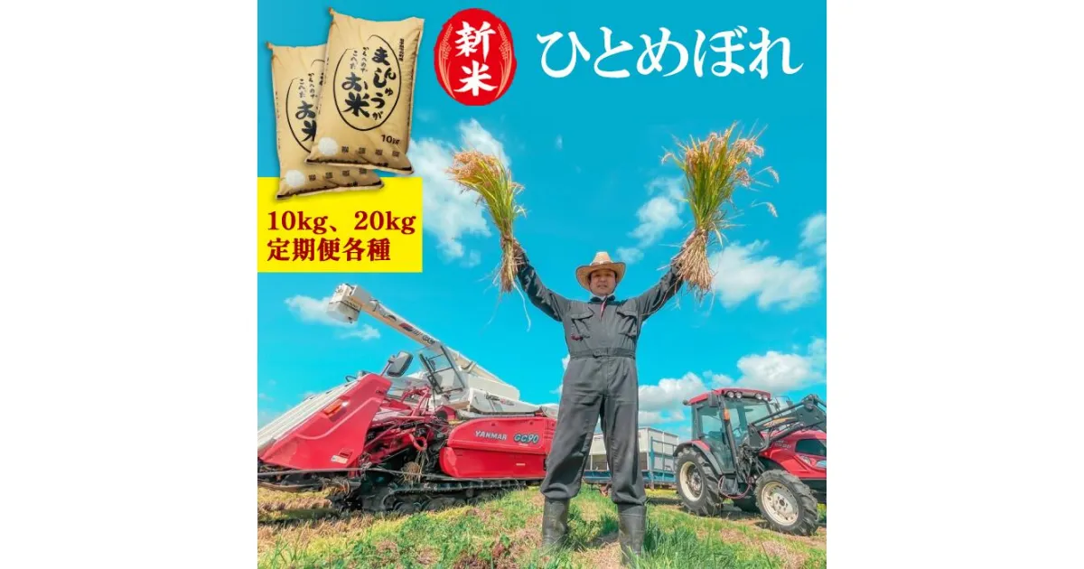 【ふるさと納税】 岩手県産 米 新米 こめ ひとめぼれ おすすめ 先行予約 予約 白米 精米 10kg 20kg 定期便 3ヶ月 6ヶ月 12ヶ月 こめ 岩手県産 産地直送 農家直送 お米 美味しい ご飯 環境保全型農業 節減対象農薬当社比5割減 化学肥料当社比5割減 送料無料 岩手県 雫石町