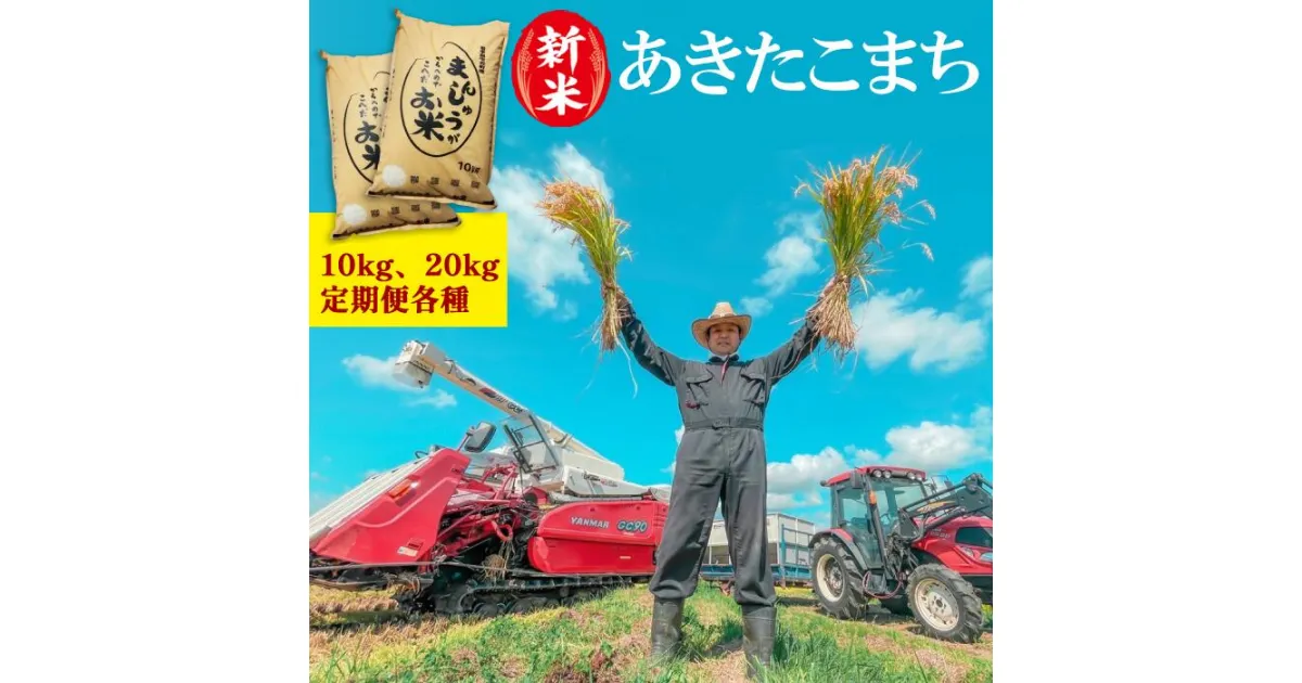 【ふるさと納税】 岩手県産 米 新米 あきたこまち おすすめ 先行予約 予約 米 白米 お米 精米 10kg 20kg 定期便 3ヶ月 6ヶ月 12ヶ月 農家直送 産地直送 こめ コメ ごはん ご飯 美味しい 節減対象農薬当社比5割減 化学肥料当社比5割減 県産 送料無料 岩手県 雫石町