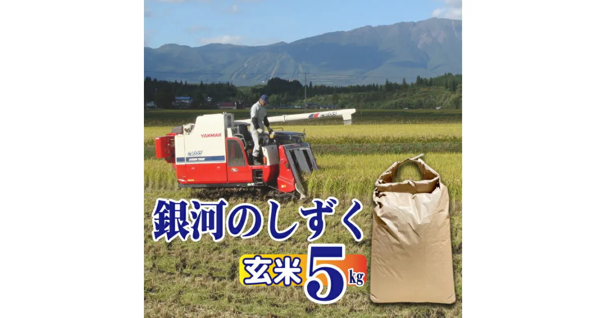 【ふるさと納税】岩手県産 米 おすすめ 玄米 特A 銀河のしずく 5kg 5キロ 人気 ブランド米 こめ コメ 美味しい おいしい ぎんがのしずく 令和6年産 特産 県産 産地直送 岩手県産 農家直送 農家 お米 おこめ【 農事組合法人ユニティファーム七区】 岩手県 雫石町 送料無料