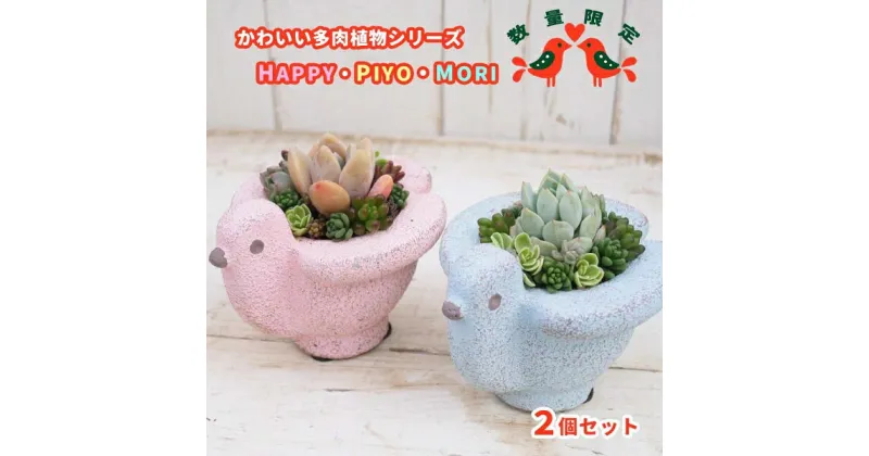 【ふるさと納税】 東北最大級のガーデニング専門店 厳選 かわいい 多肉植物 シリーズ 数量限定 おすすめ 『HAPPY PIYOMORI～ハッピーピヨモリ～』 2個 セット 花工房らら倶楽部 / 寄せ植え 蜂 ポット 小鳥 インテリア メルヘン 癒し系 国産 岩手県 雫石町 産地直送 送料無料