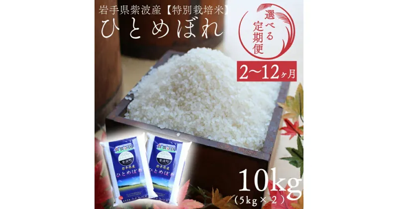 【ふるさと納税】 定期便 ひとめぼれ10kg（5kg×2袋）令和6年産【選べる定期便】 ふるさと納税 米 岩手県 ひとめぼれ 2ヶ月 3ヶ月 6ヶ月 12ヶ月岩手県紫波町産 【特別栽培米】