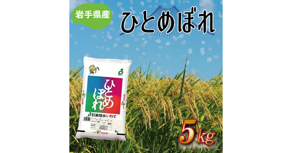 【ふるさと納税】★令和6年産★岩手県産 ひとめぼれ 5kg (AE170)