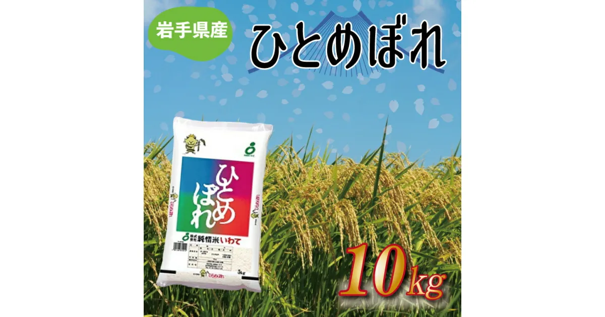 【ふるさと納税】★令和6年産★岩手県産 ひとめぼれ 10kg (AE171)