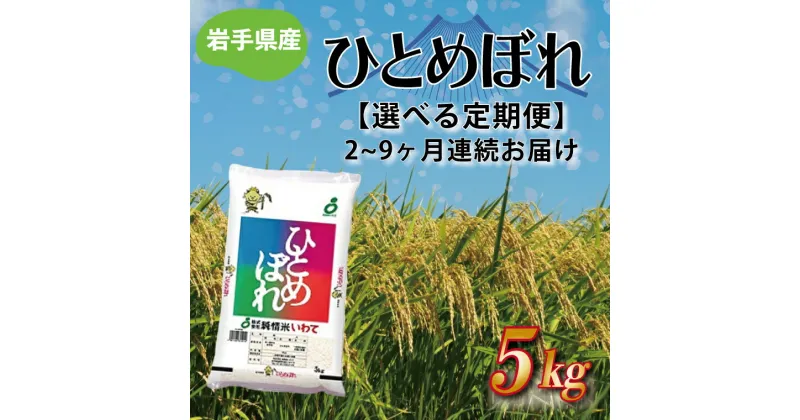 【ふるさと納税】 定期便 5kg 令和6年産 白米【毎月連続お届け】 ふるさと納税 米 岩手県 ひとめぼれ 岩手県産 ひとめぼれ 5kg