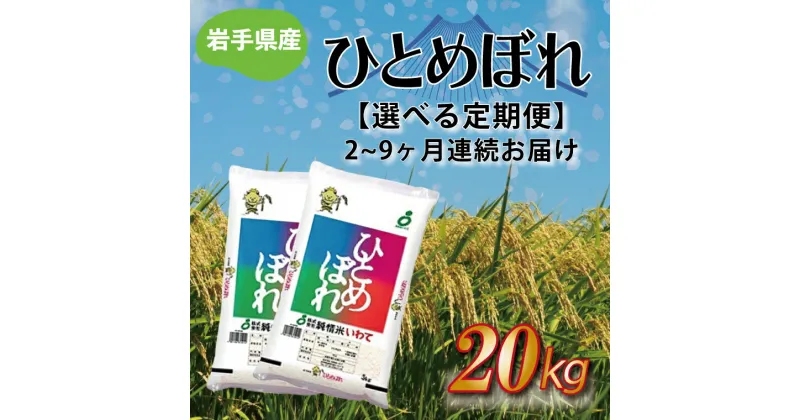 【ふるさと納税】定期便 20kg 令和6年産 白米【選べる定期便】岩手県産 ふるさと納税 米 ひとめぼれ 20kg（10kg×2袋）