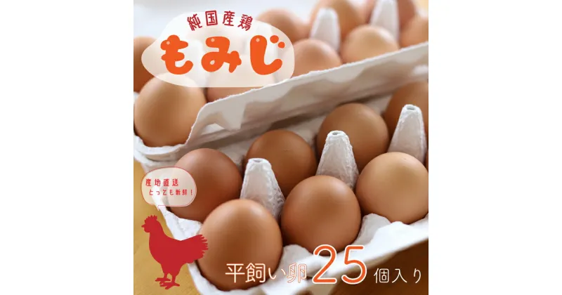 【ふるさと納税】たまご 玉子 鶏卵 「【純国産鶏もみじ】平飼い卵 25個入り」生産者 採れたて 新鮮 たまご 養鶏場より直送 (AJ005-2)